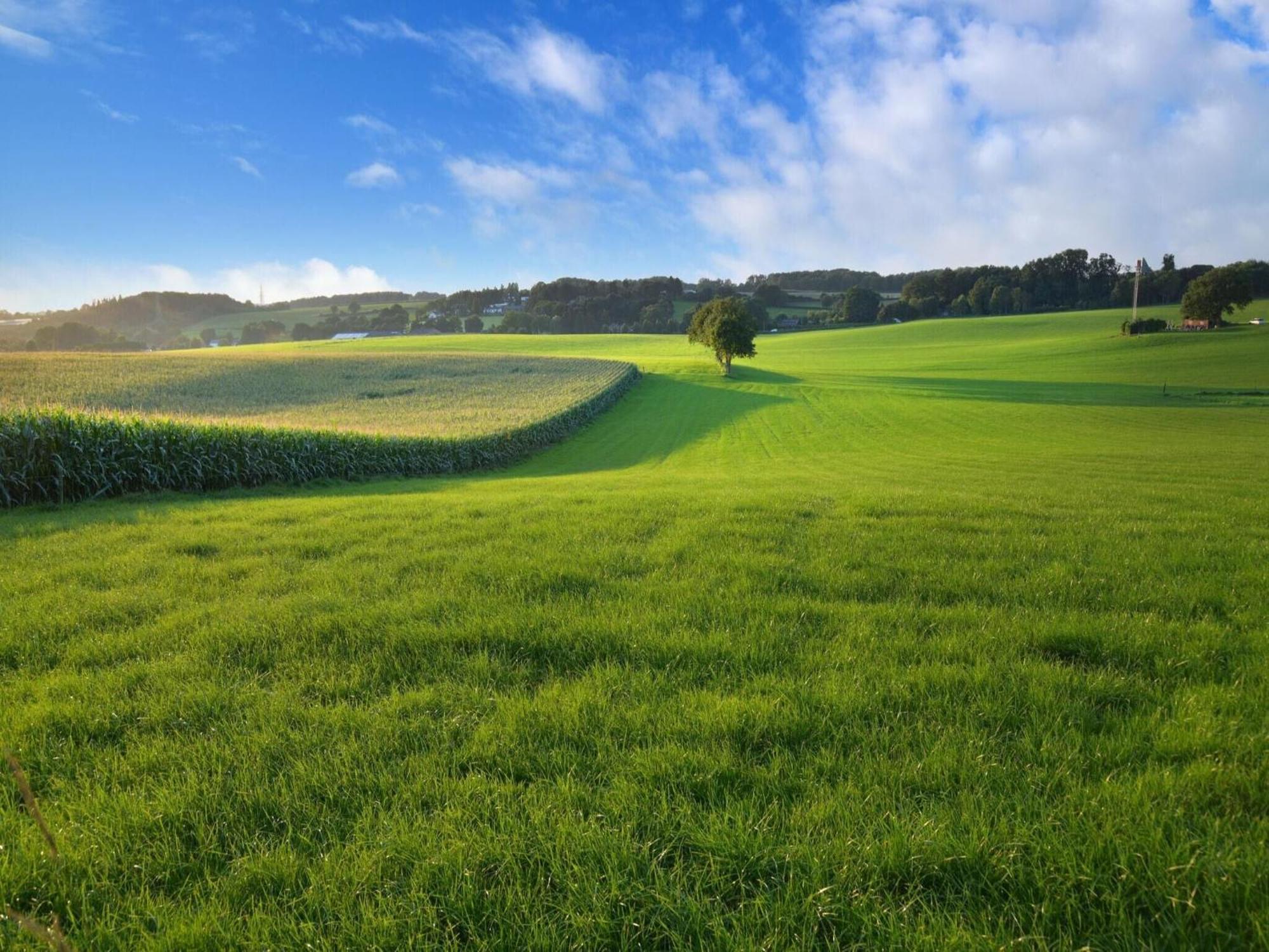 Вилла Attractive Farmhouse In South Limburg With Terrace Klimmen Экстерьер фото