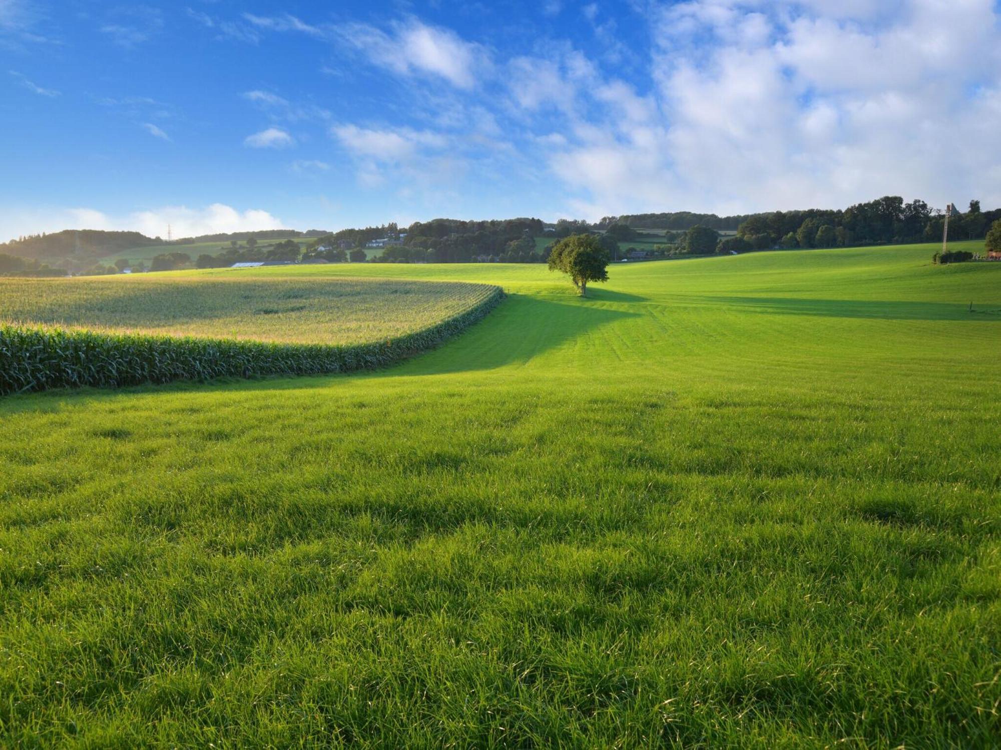 Вилла Attractive Farmhouse In South Limburg With Terrace Klimmen Экстерьер фото
